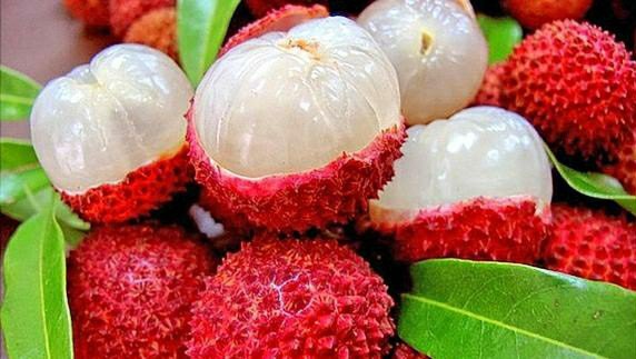 Lichi